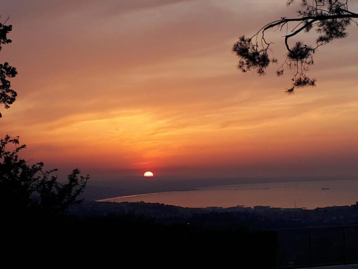 Villa De Ruschi Montacuto エクステリア 写真